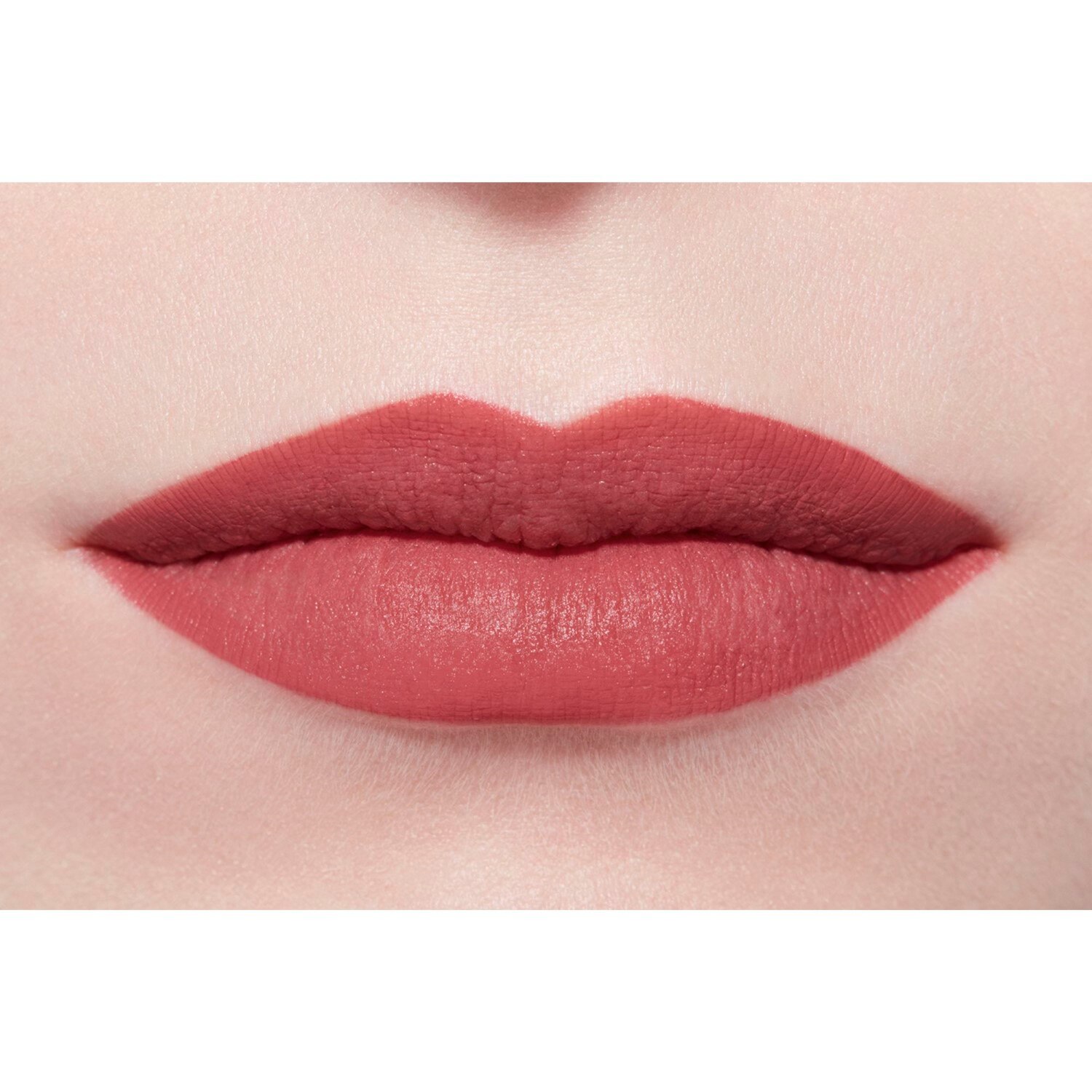 LA BARRA DE LABIOS ATERCIOPELADA LUMINOSA
